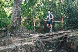 BIB: 
                            <button type="button" onclick="openModal(27746926)" class="btn btn-primary btn-sm float-right btn-popup" data-toggle="modal" data-target=".modal-high-quality">
                        <i class="fas fa-shopping-cart"></i> Add to Cart
                    </button>
                                            <button type="button" onclick="isThisMe(27746926, true)" class="btn btn-success btn-sm float-right btn-popup btn-isme hidden" data-toggle="tooltip" data-placement="bottom" title="นี่คือรูปของคุณใช่ไหม คลิกที่นี่เพื่อเอาเข้าอัลบั้ม">
                        <i class="fas fa-plus"></i> Add to album
                    </button>
                    <button type="button" onclick="isThisMe(27746926, false)" class="btn btn-warning btn-sm float-right btn-popup btn-isnotme hidden">
                        <i class="fas fa-ban"></i> Remove from album
                    </button>